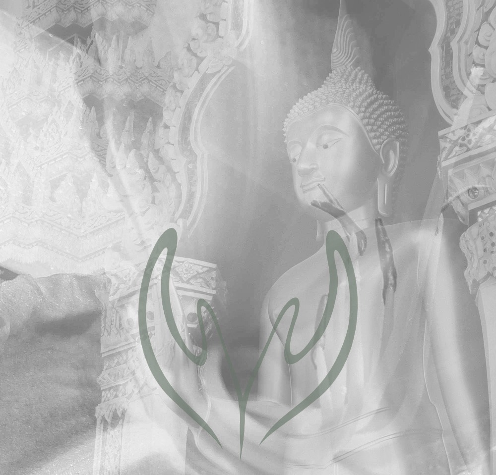 Divine Openings™, körperorientierte Methoden und Gesprächsbegleitung